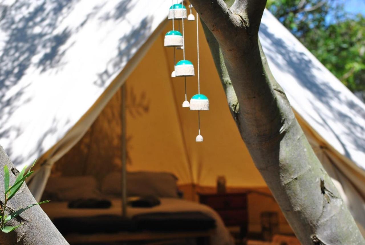 La Brujula Hostel ลาปาโลมา ภายนอก รูปภาพ